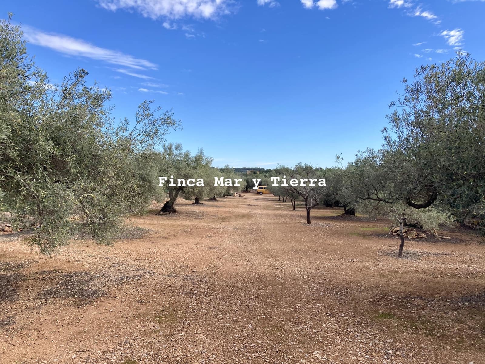 Terre non Aménagée à vendre à El Perello - 77 000 € (Ref: 9439929)