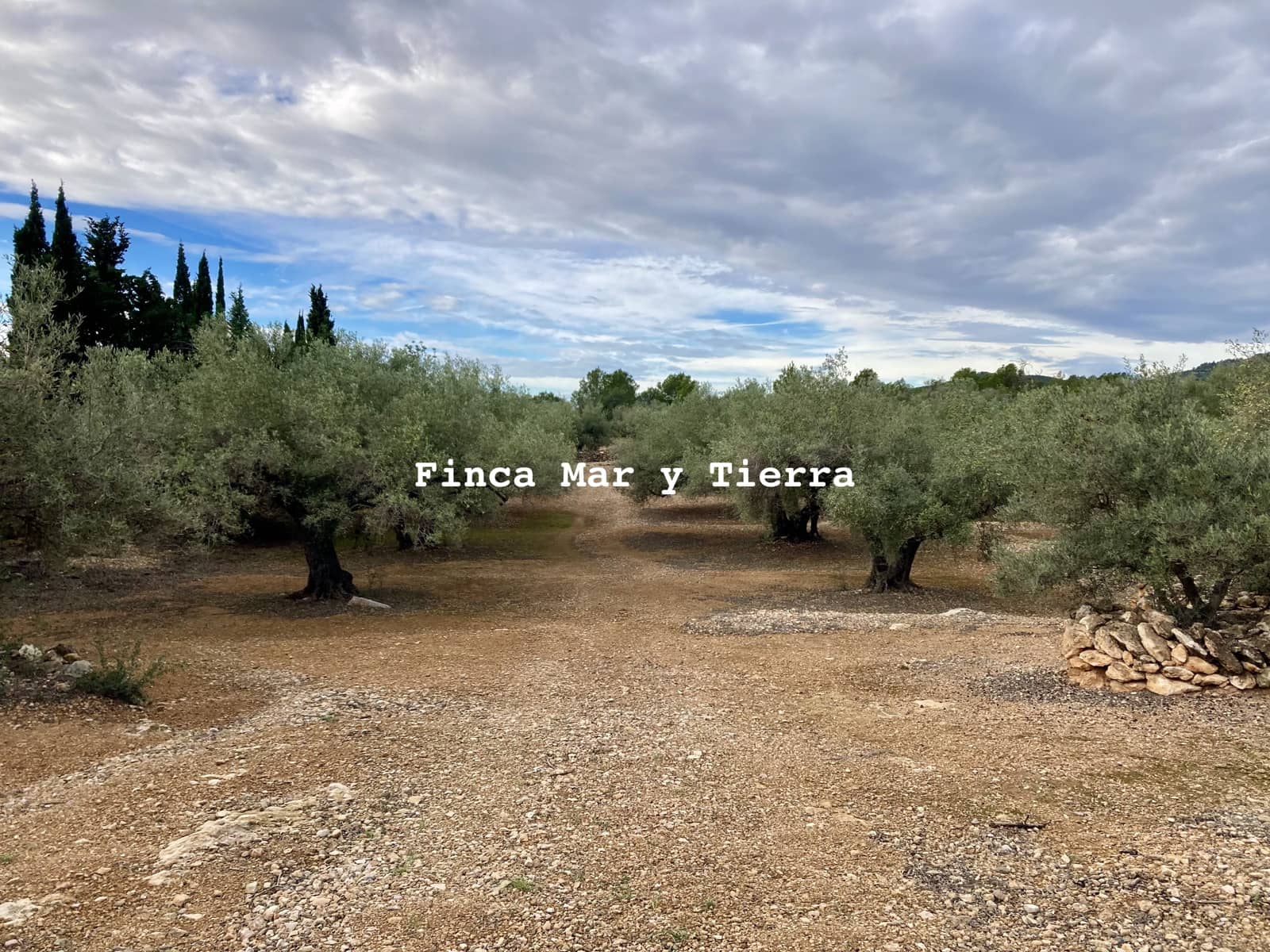 Terre non Aménagée à vendre à El Perello - 77 000 € (Ref: 9439929)