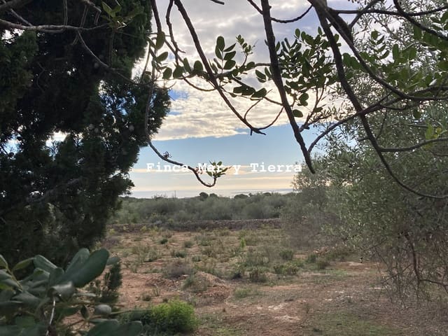 Grunde uden byggetilladelser til salg i El Perelló - € 77.000 (Ref: 9439929)