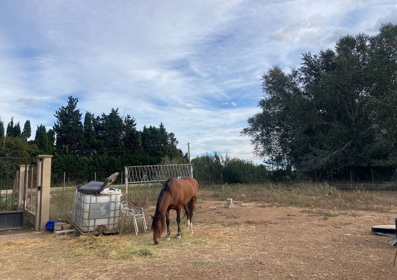 Undeveloped Land for sale in Tortosa - € 85,000 (Ref: 9439931)