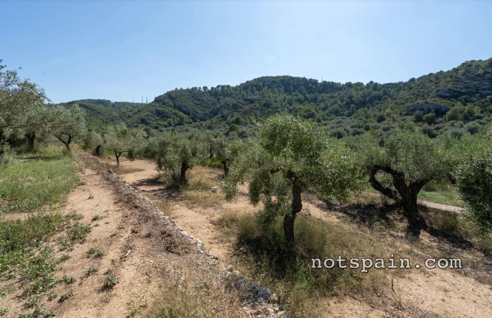 Finca/Casa Rural en L'Ampolla en venta con garaje - 149.000 € (Ref: 9454780)