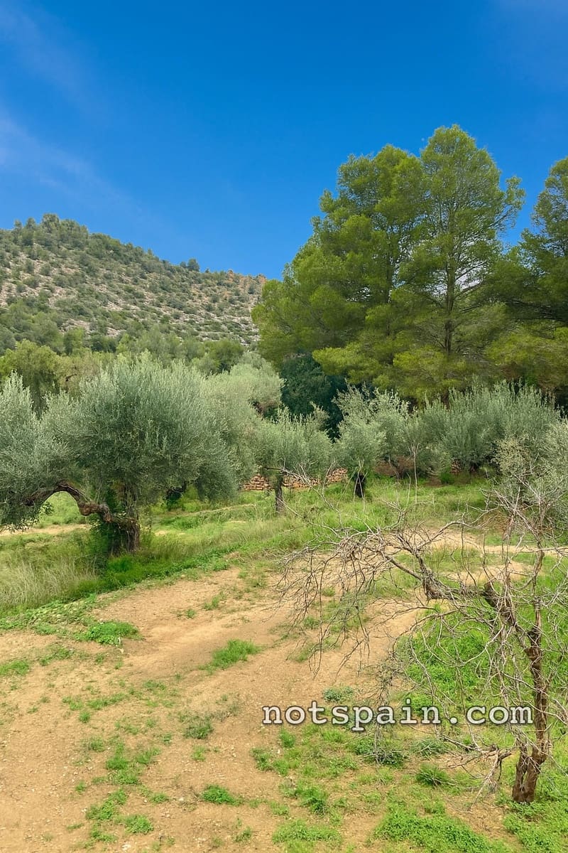 Finca/Casa Rural en L'Ampolla en venta con garaje - 149.000 € (Ref: 9454780)