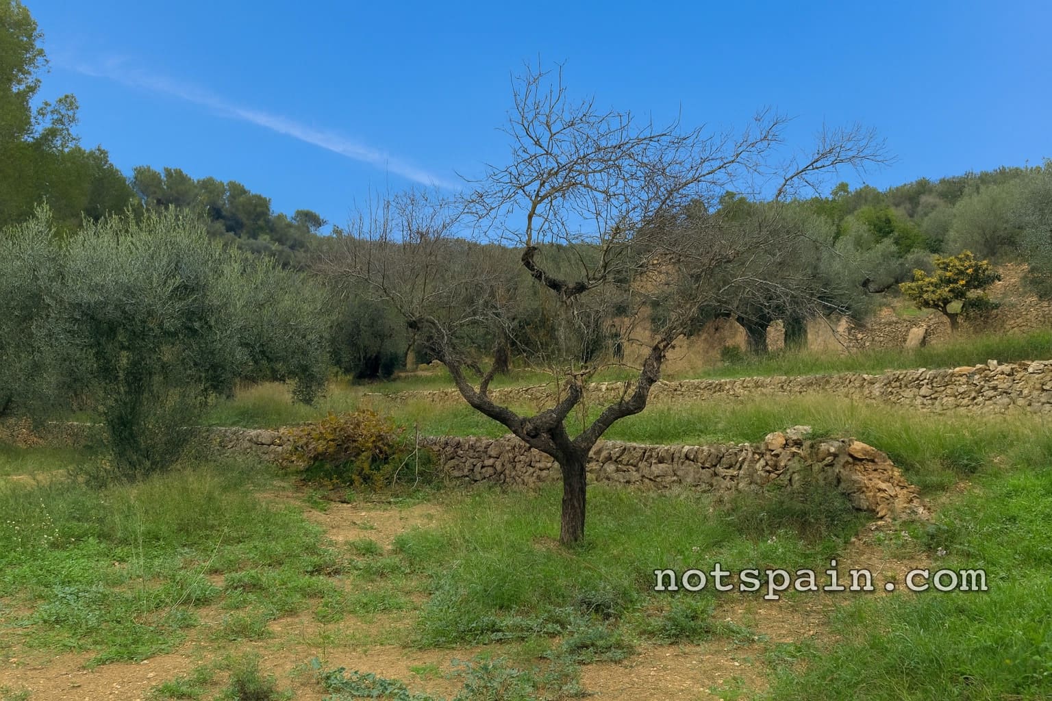Finca/Casa Rural en L'Ampolla en venta con garaje - 149.000 € (Ref: 9454780)