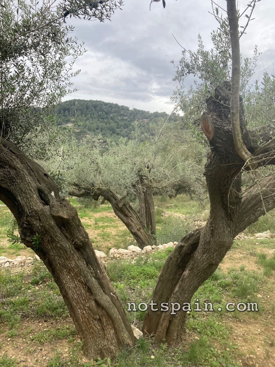 Finca/Casa Rural en L'Ampolla en venta con garaje - 149.000 € (Ref: 9454780)