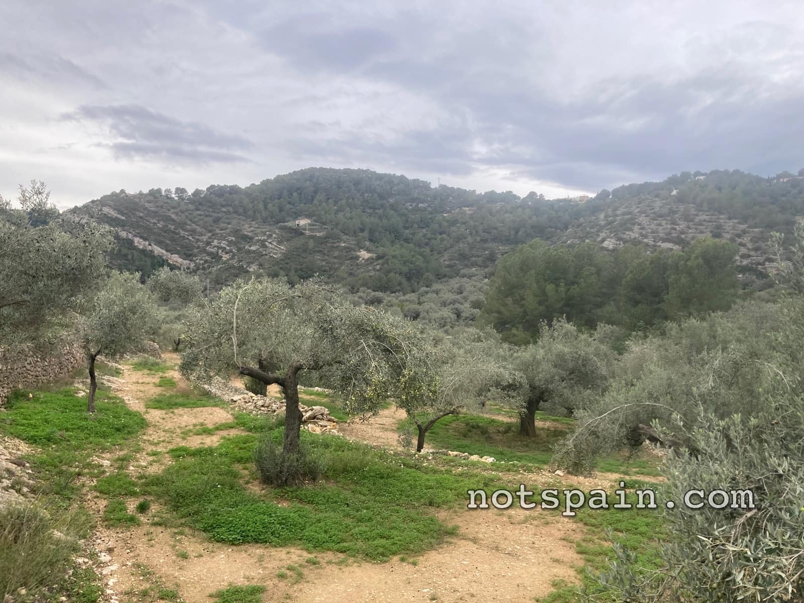 Finca/Casa Rural en L'Ampolla en venta con garaje - 149.000 € (Ref: 9454780)