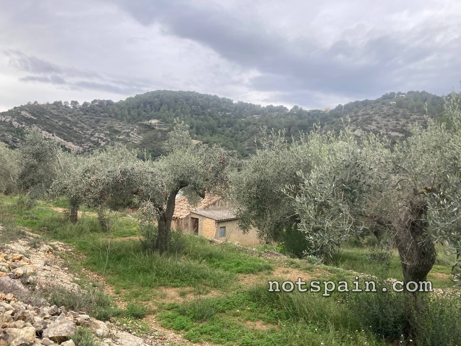 Finca/Casa Rural en L'Ampolla en venta con garaje - 149.000 € (Ref: 9454780)