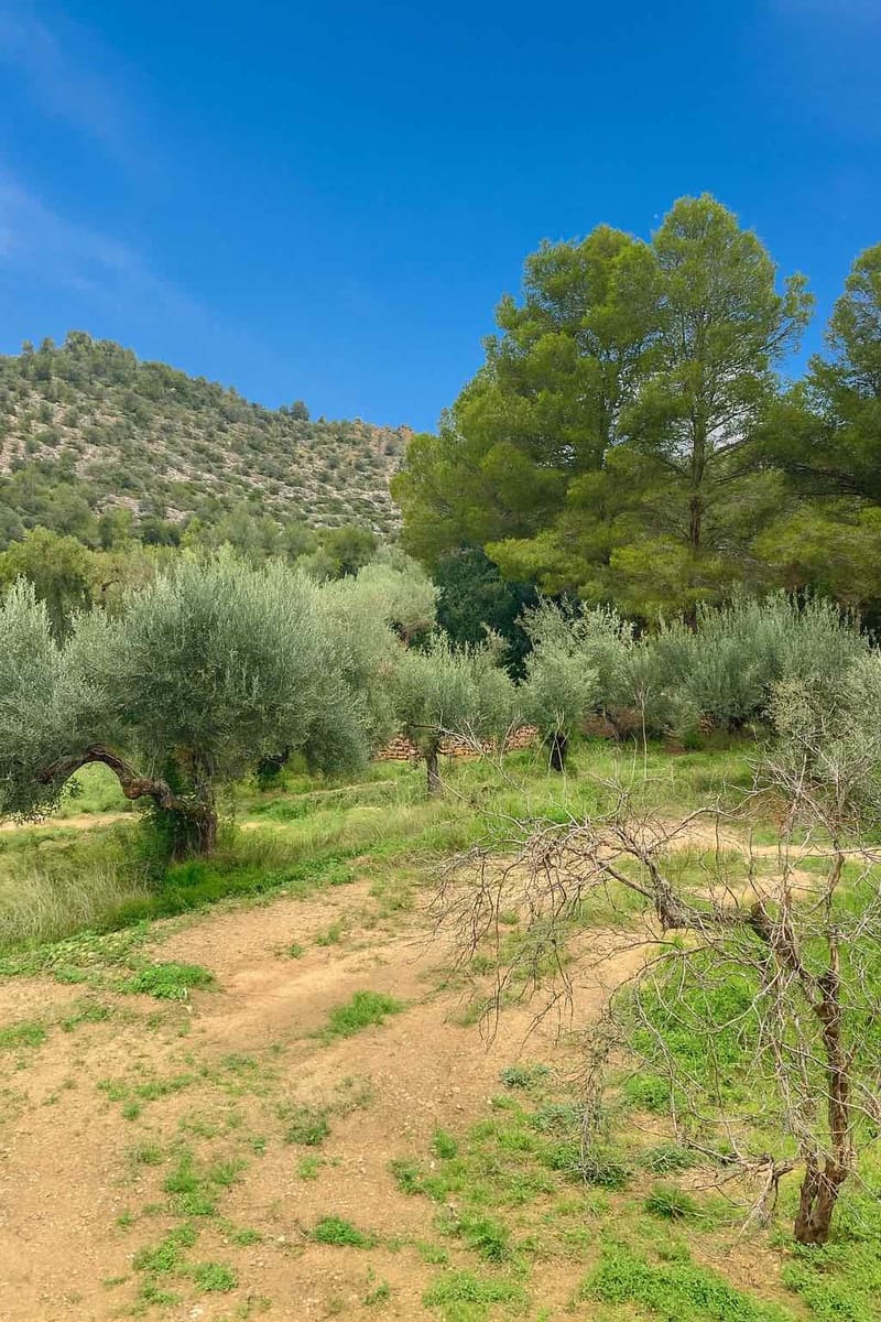 Quinta/Casa Rural para venda em L'Ampolla com garagem - 135 000 € (Ref: 9454780)