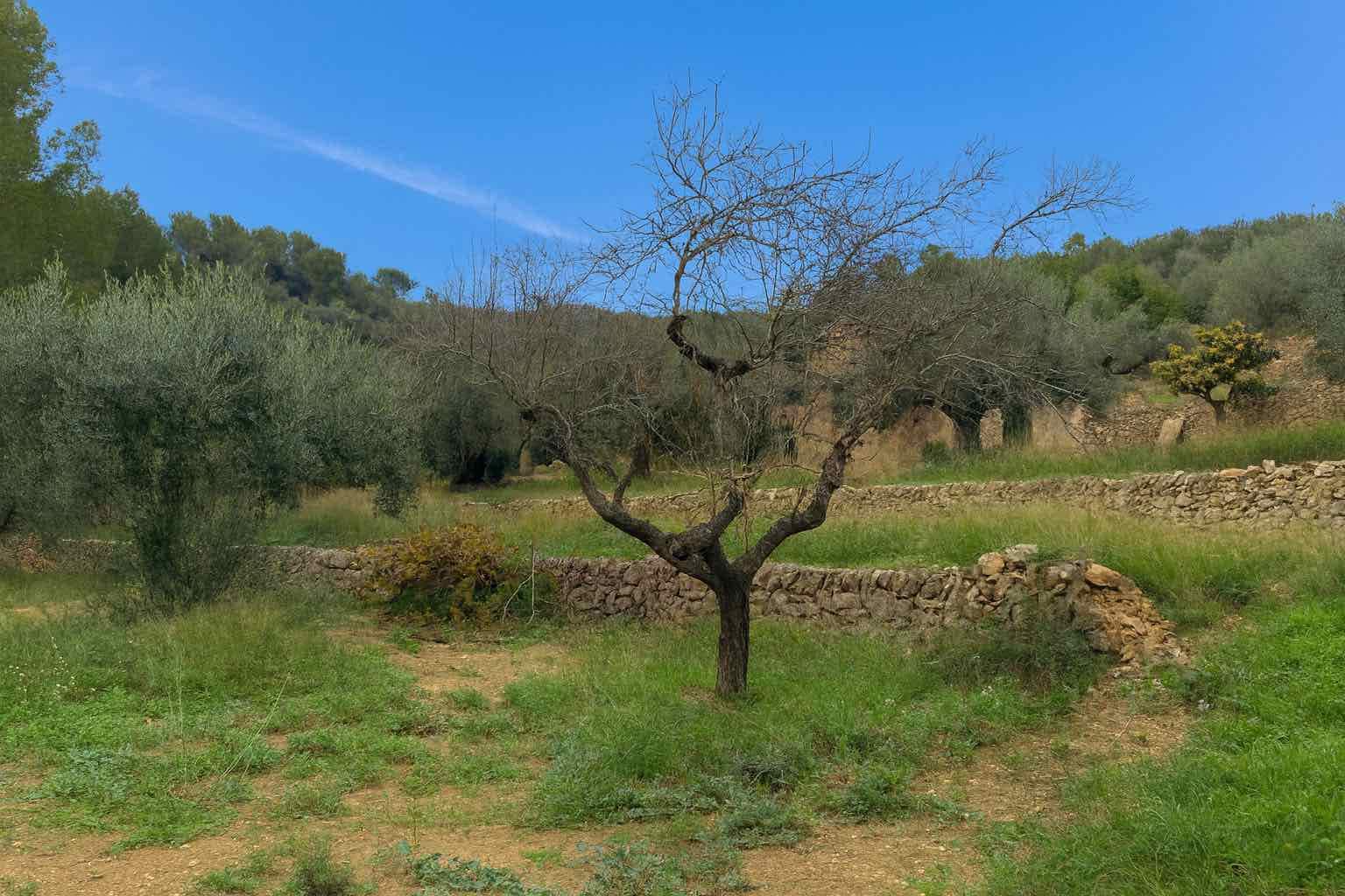 Quinta/Casa Rural para venda em L'Ampolla com garagem - 135 000 € (Ref: 9454780)
