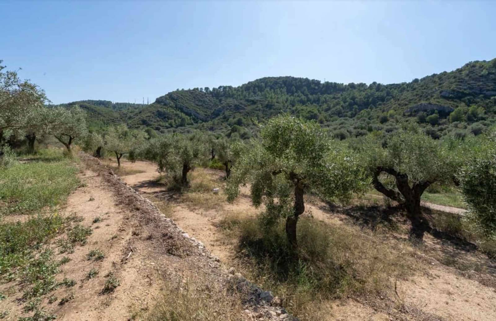 Quinta/Casa Rural para venda em L'Ampolla com garagem - 135 000 € (Ref: 9454780)