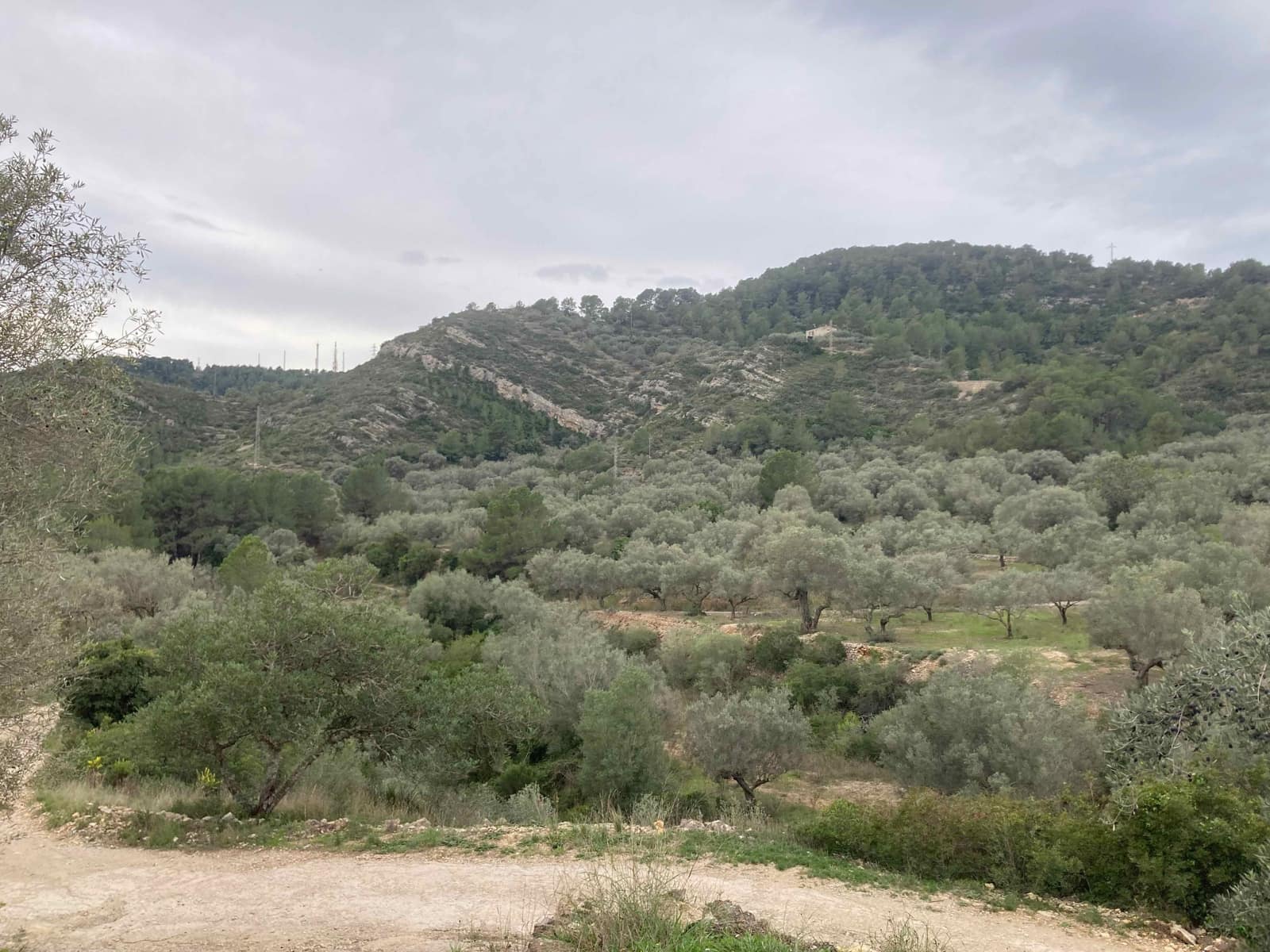 Quinta/Casa Rural para venda em L'Ampolla com garagem - 135 000 € (Ref: 9454780)