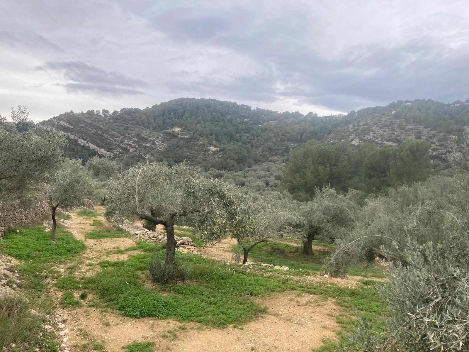 Quinta/Casa Rural para venda em L'Ampolla com garagem - 135 000 € (Ref: 9454780)