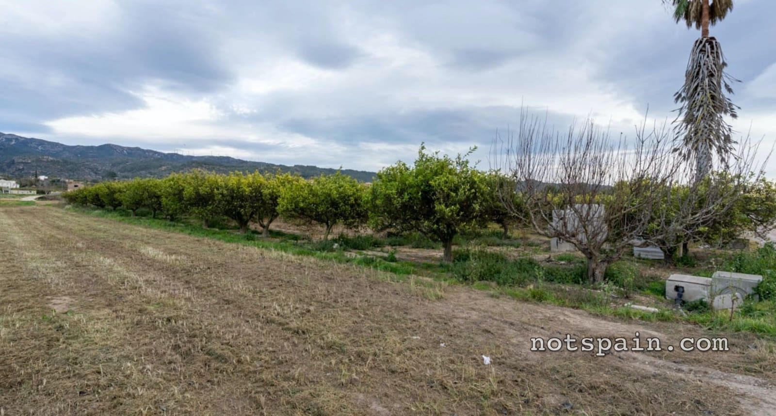 1 quarto Quinta/Casa Rural para venda em El Perello - 52 900 € (Ref: 9454783)