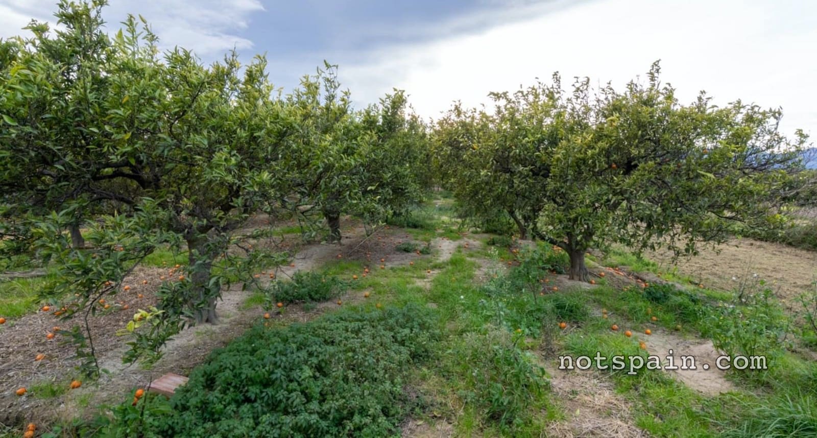 1 quarto Quinta/Casa Rural para venda em El Perello - 52 900 € (Ref: 9454783)