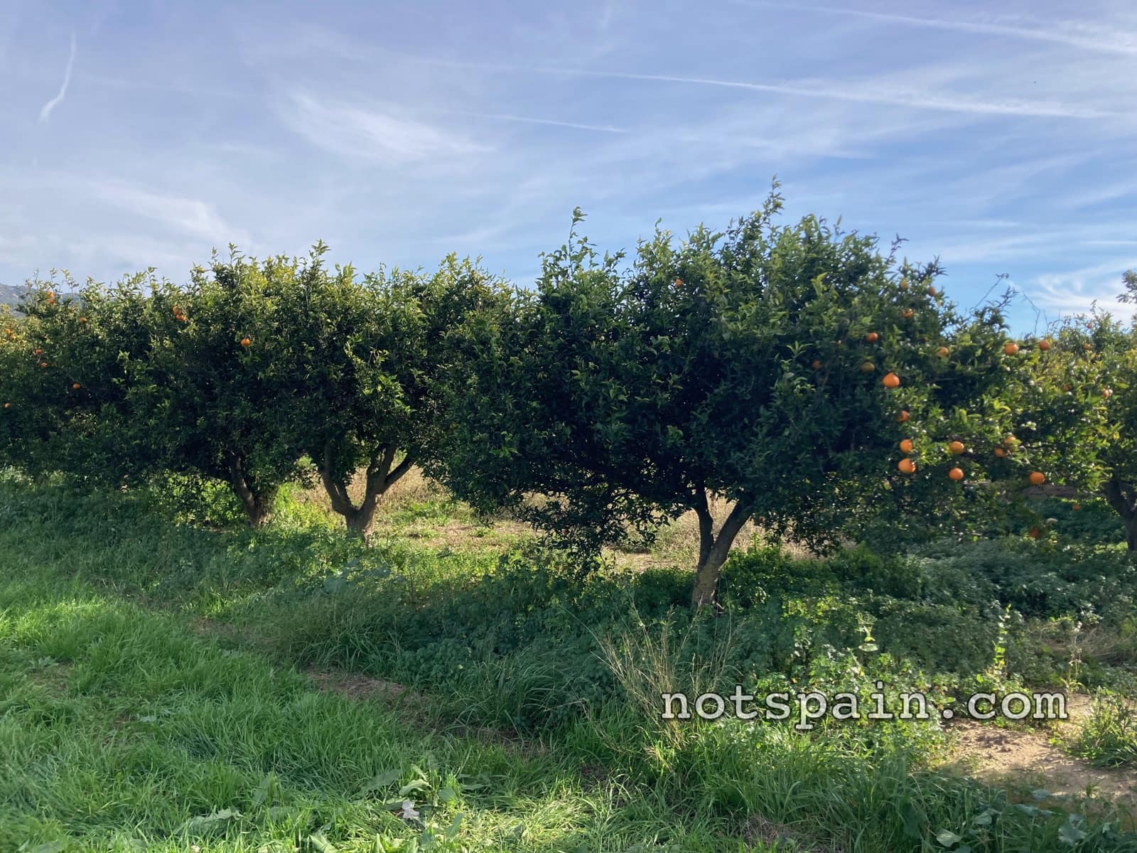 1 quarto Quinta/Casa Rural para venda em El Perello - 52 900 € (Ref: 9454783)