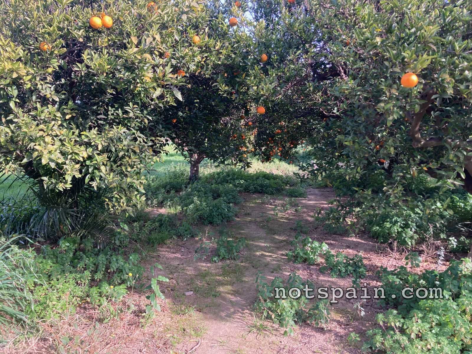 1 quarto Quinta/Casa Rural para venda em El Perello - 52 900 € (Ref: 9454783)