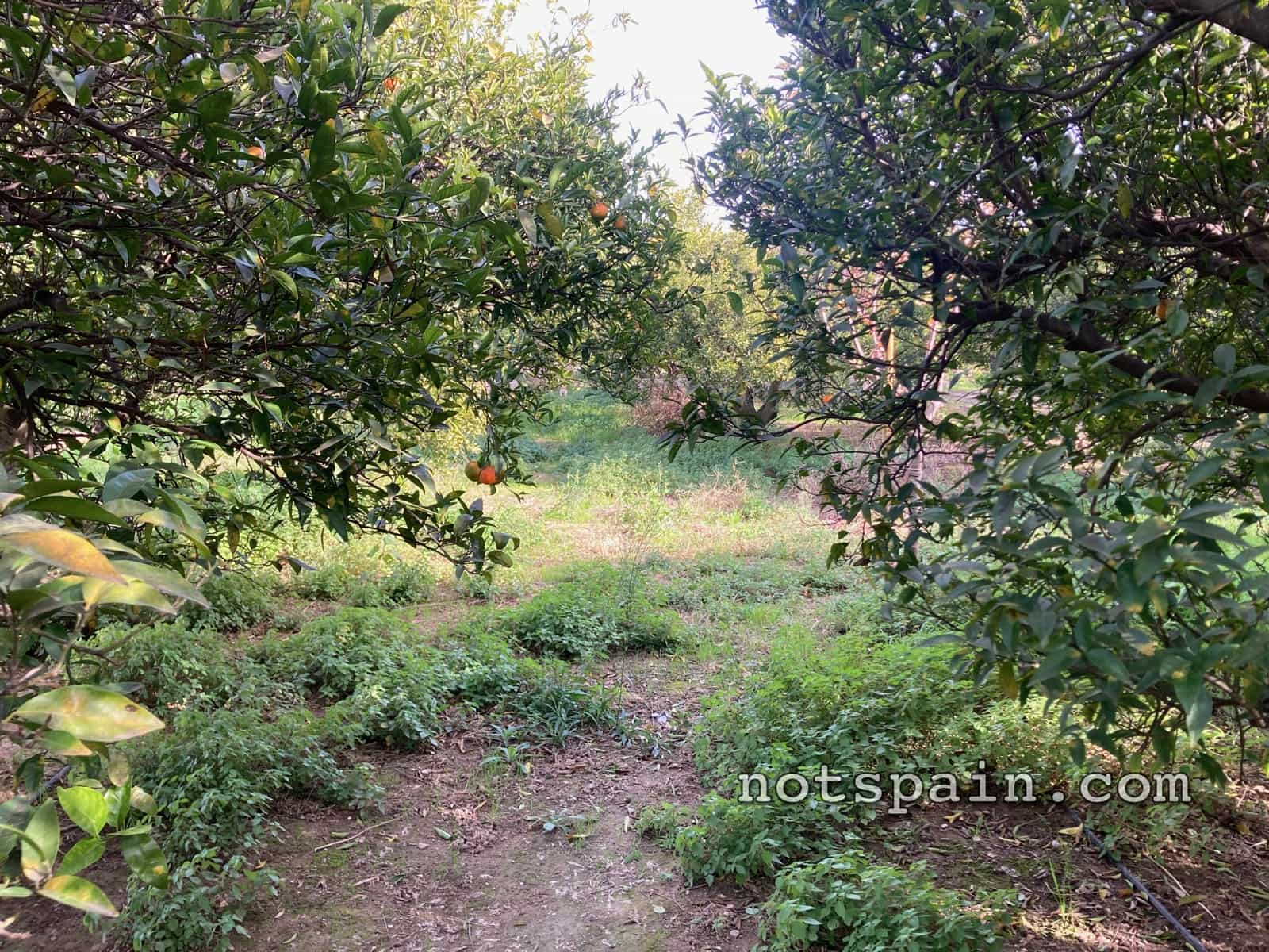 1 quarto Quinta/Casa Rural para venda em El Perello - 52 900 € (Ref: 9454783)