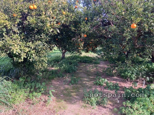 1 quarto Quinta/Casa Rural para venda em El Perelló - 52 900 € (Ref: 9454783)