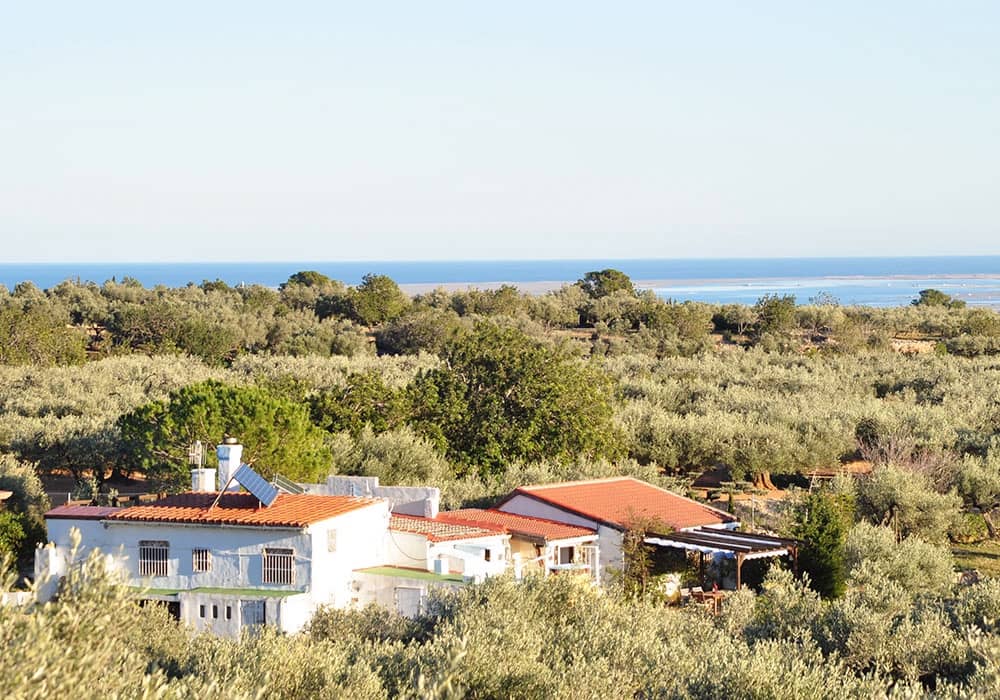 5 chambre Chambres d'Hôtes/B&B à vendre à L'Ampolla avec piscine - 430 000 € (Ref: 9455710)