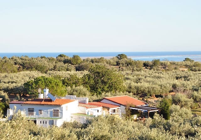 5 soveværelse Guesthouse/B & B til salg i L'Ampolla med swimmingpool - € 430.000 (Ref: 9455710)