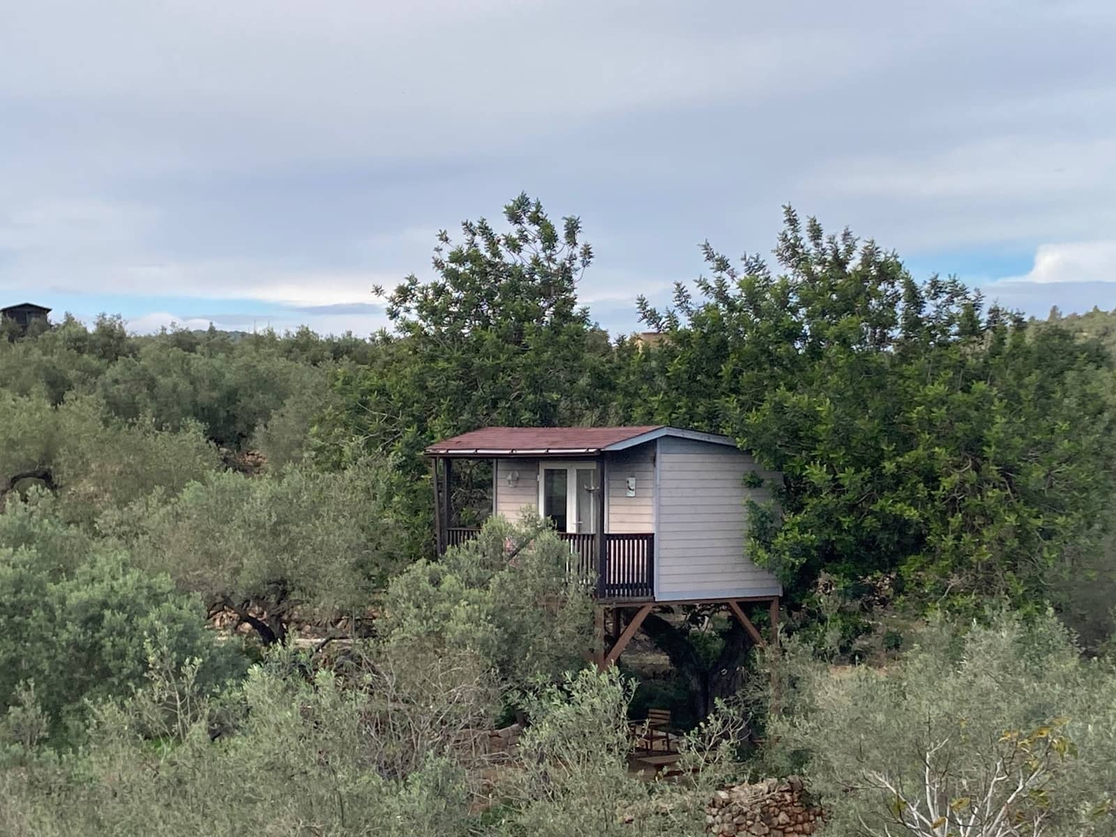 5 chambre Chambres d'Hôtes/B&B à vendre à L'Ampolla avec piscine - 430 000 € (Ref: 9455710)