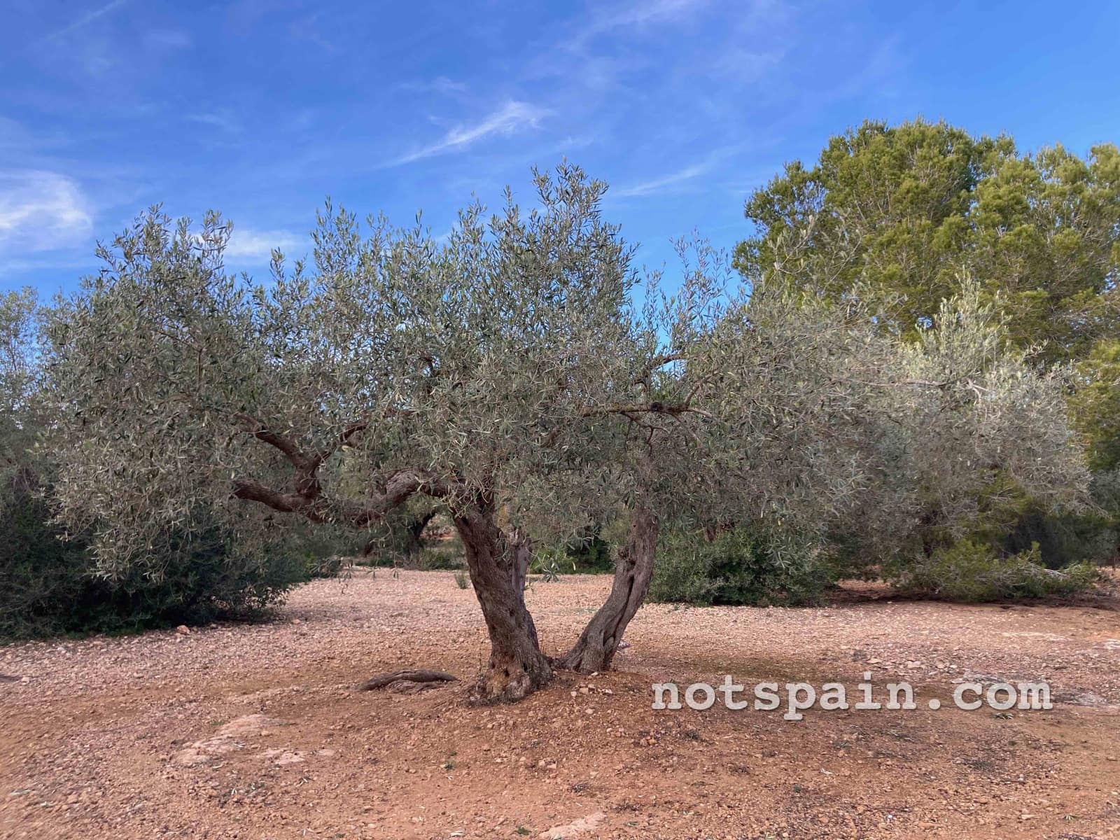 Finca/Casa Rural de 1 habitación en L'Ampolla en venta - 57.000 € (Ref: 9455805)