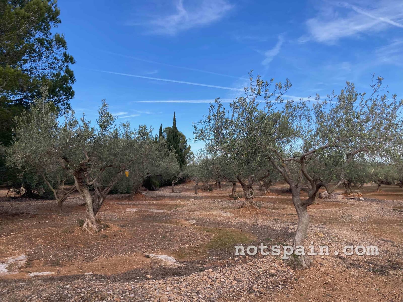 Finca/Casa Rural de 1 habitación en L'Ampolla en venta - 57.000 € (Ref: 9455805)