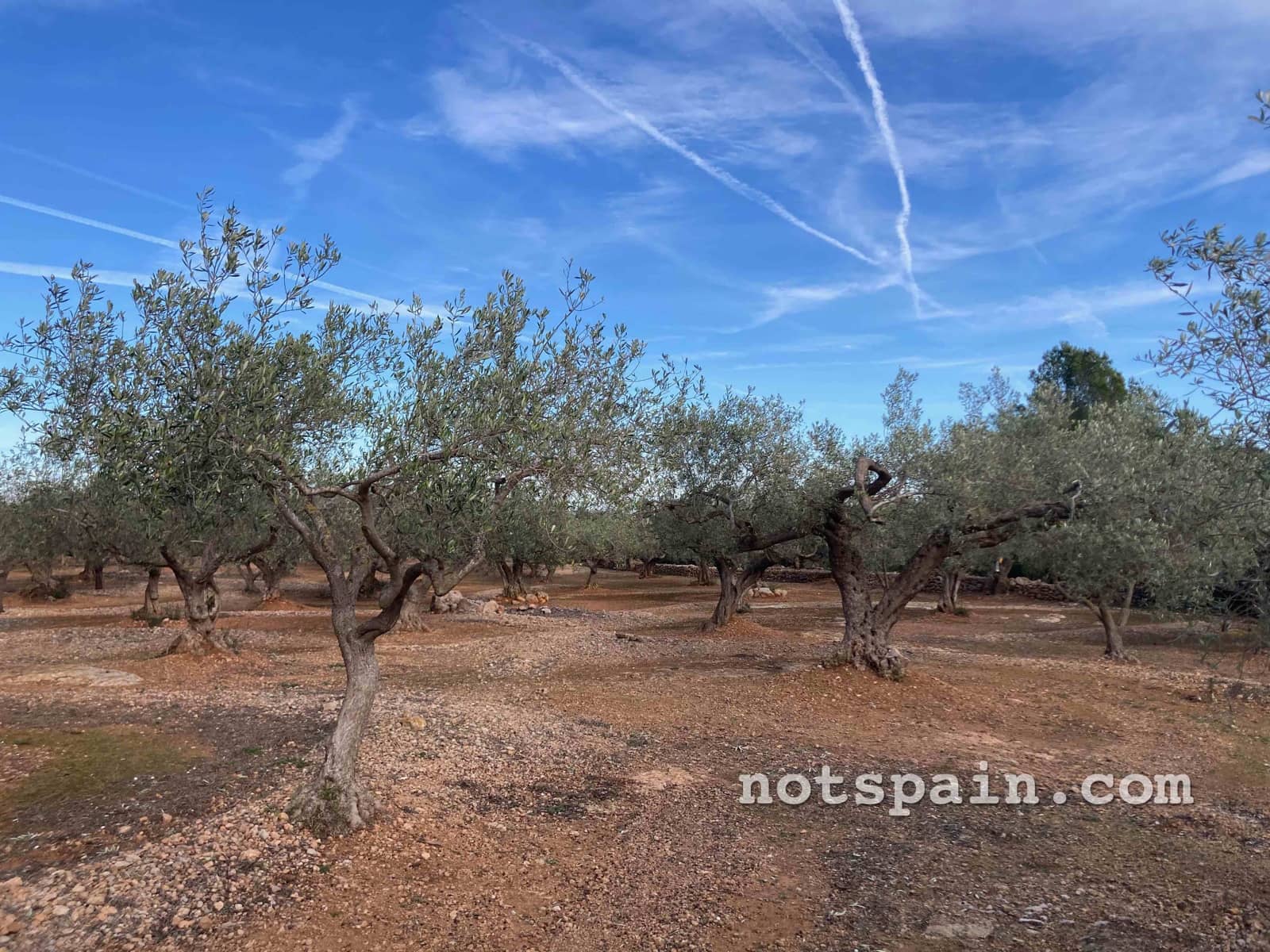 Finca/Casa Rural de 1 habitación en L'Ampolla en venta - 57.000 € (Ref: 9455805)