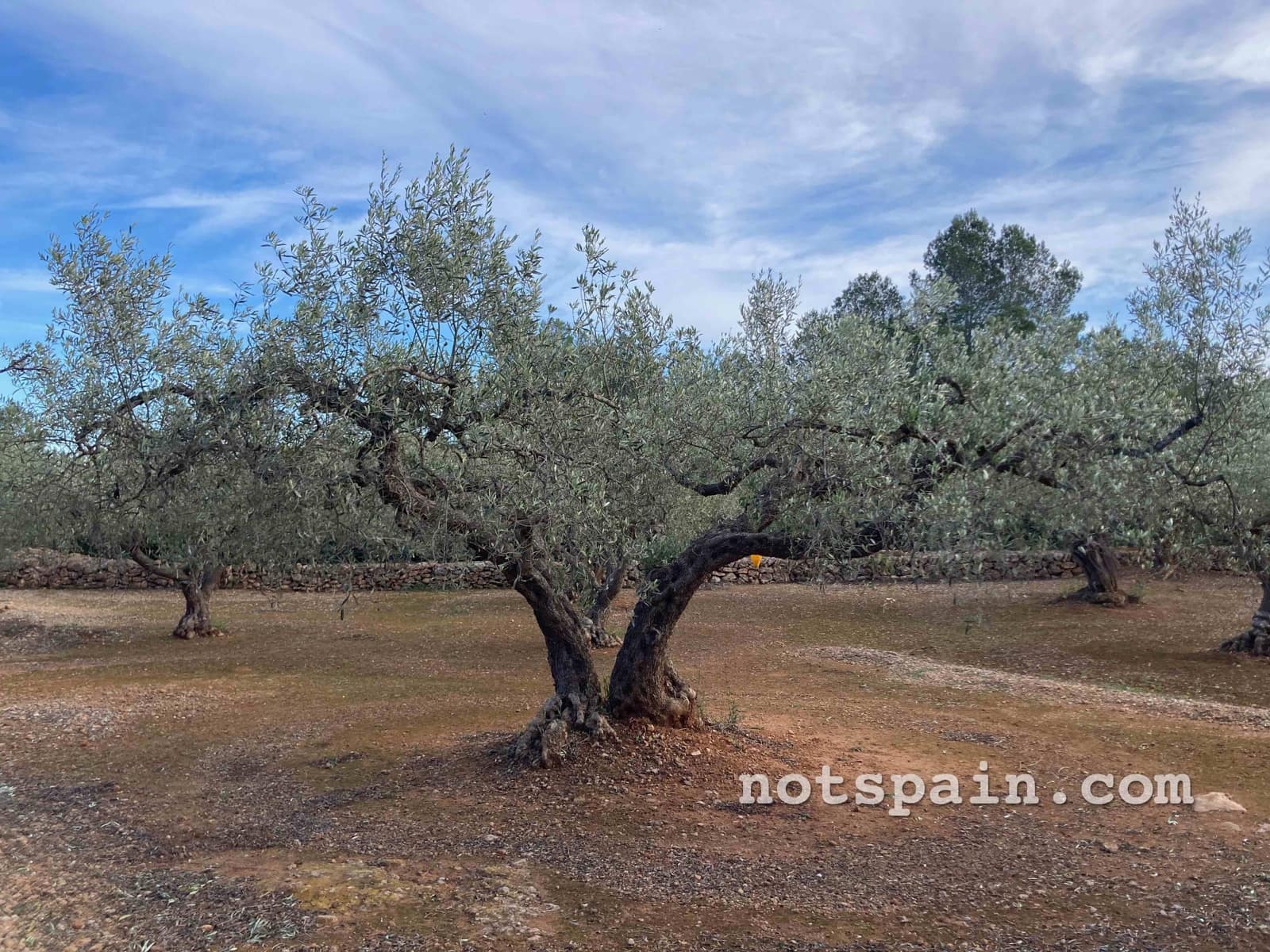 Finca/Casa Rural de 1 habitación en L'Ampolla en venta - 57.000 € (Ref: 9455805)