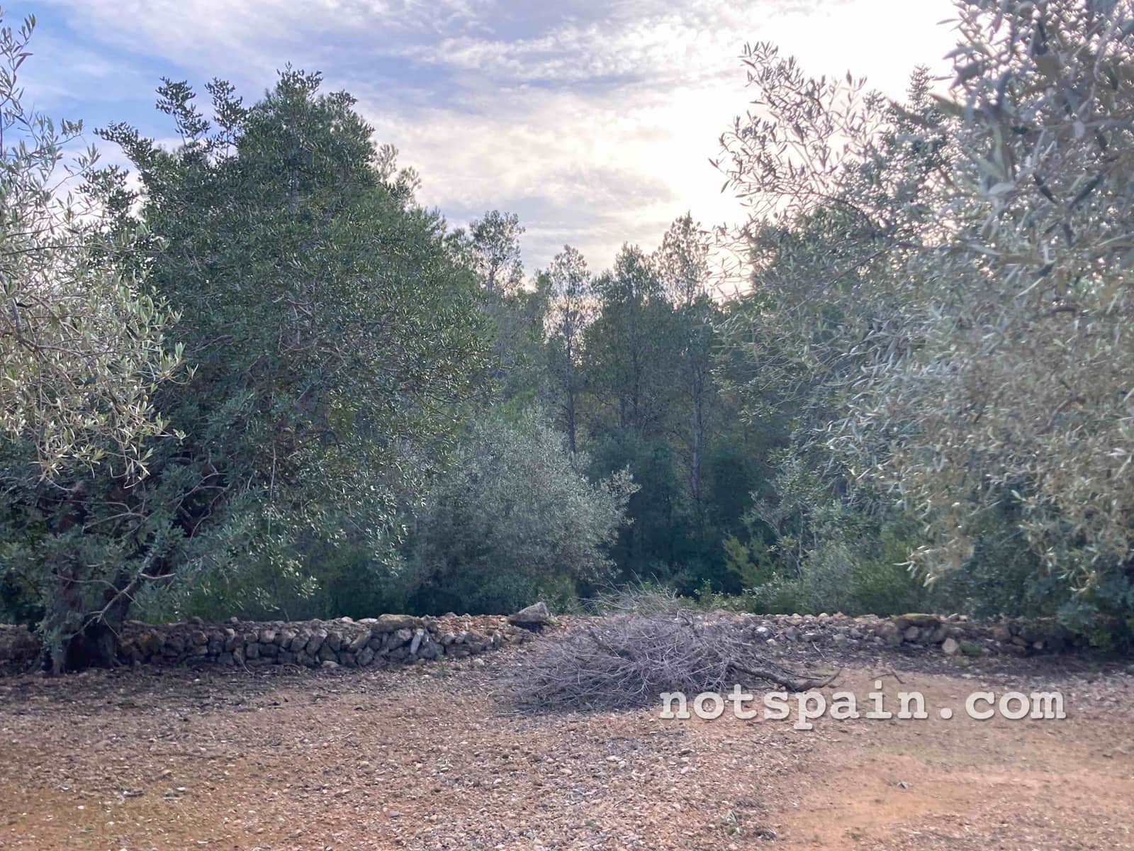 Finca/Casa Rural de 1 habitación en L'Ampolla en venta - 57.000 € (Ref: 9455805)