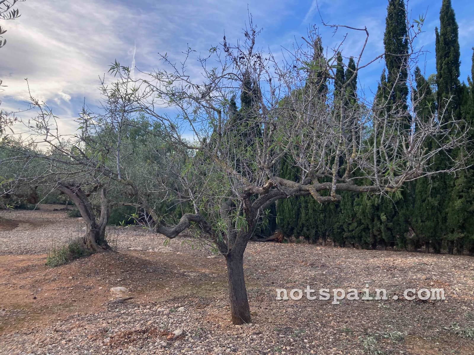 Finca/Casa Rural de 1 habitación en L'Ampolla en venta - 57.000 € (Ref: 9455805)