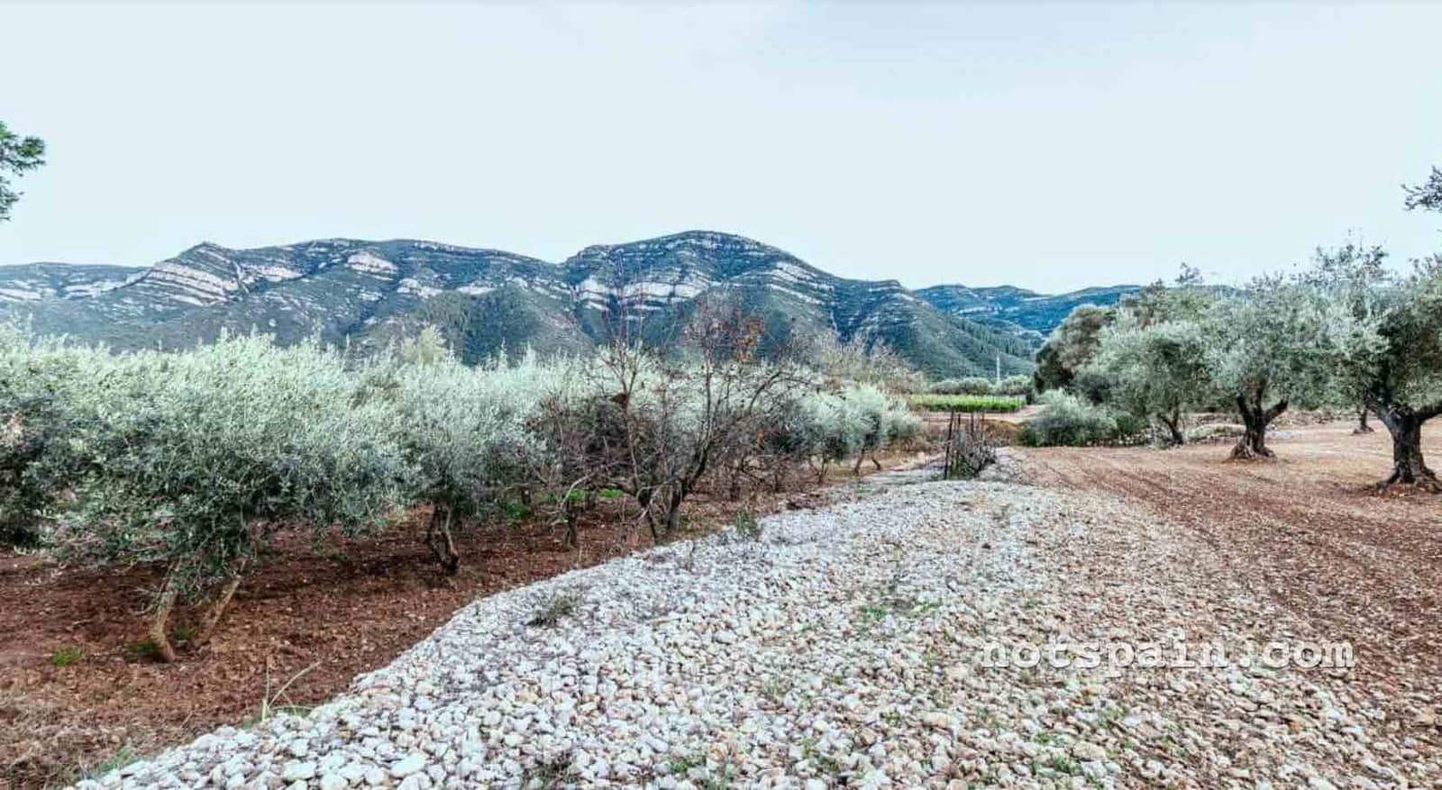 3 bedroom Finca/Country House for sale in L'Ampolla with pool - € 99,000 (Ref: 9455806)