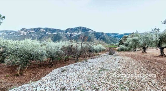 3 sypialnia Finka/Dom wiejski na sprzedaż w L'Ampolla z basenem - 99 000 € (Ref: 9455806)