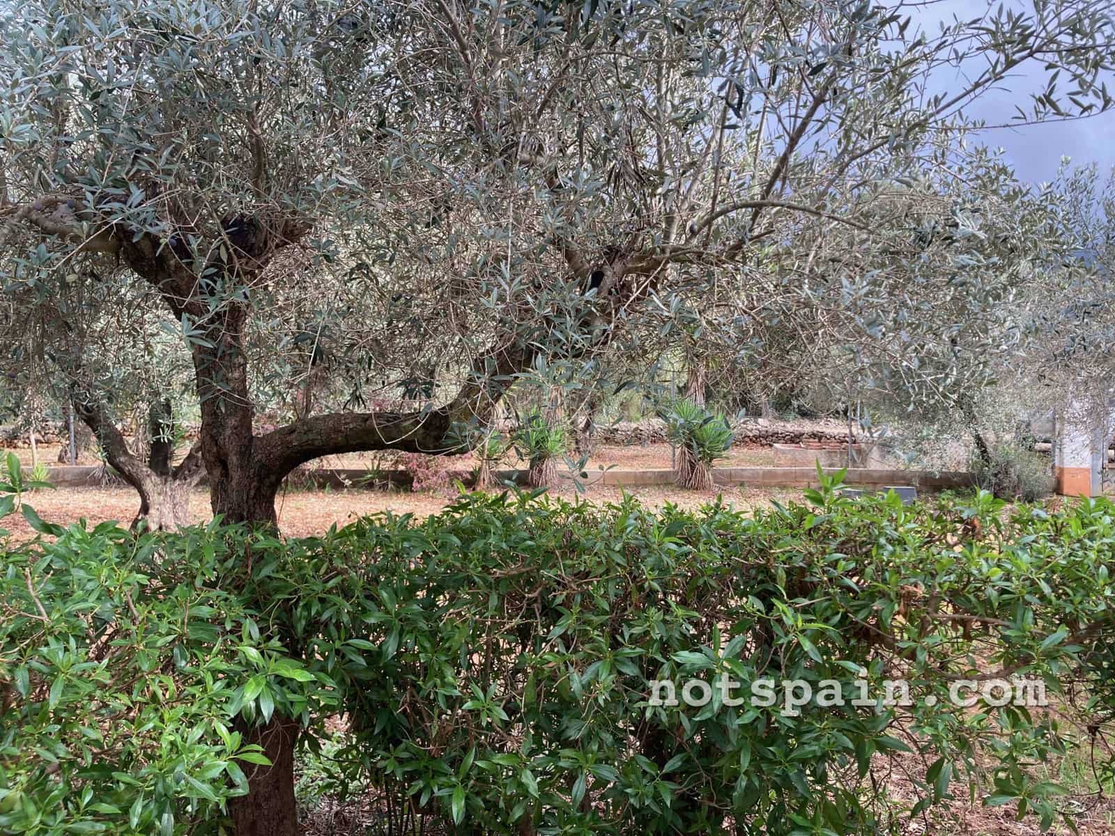 3 bedroom Finca/Country House for sale in L'Ampolla with pool - € 99,000 (Ref: 9455806)