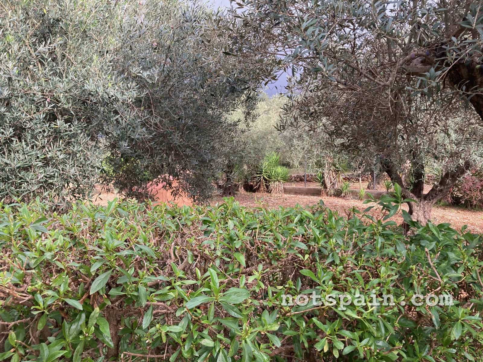 3 bedroom Finca/Country House for sale in L'Ampolla with pool - € 99,000 (Ref: 9455806)