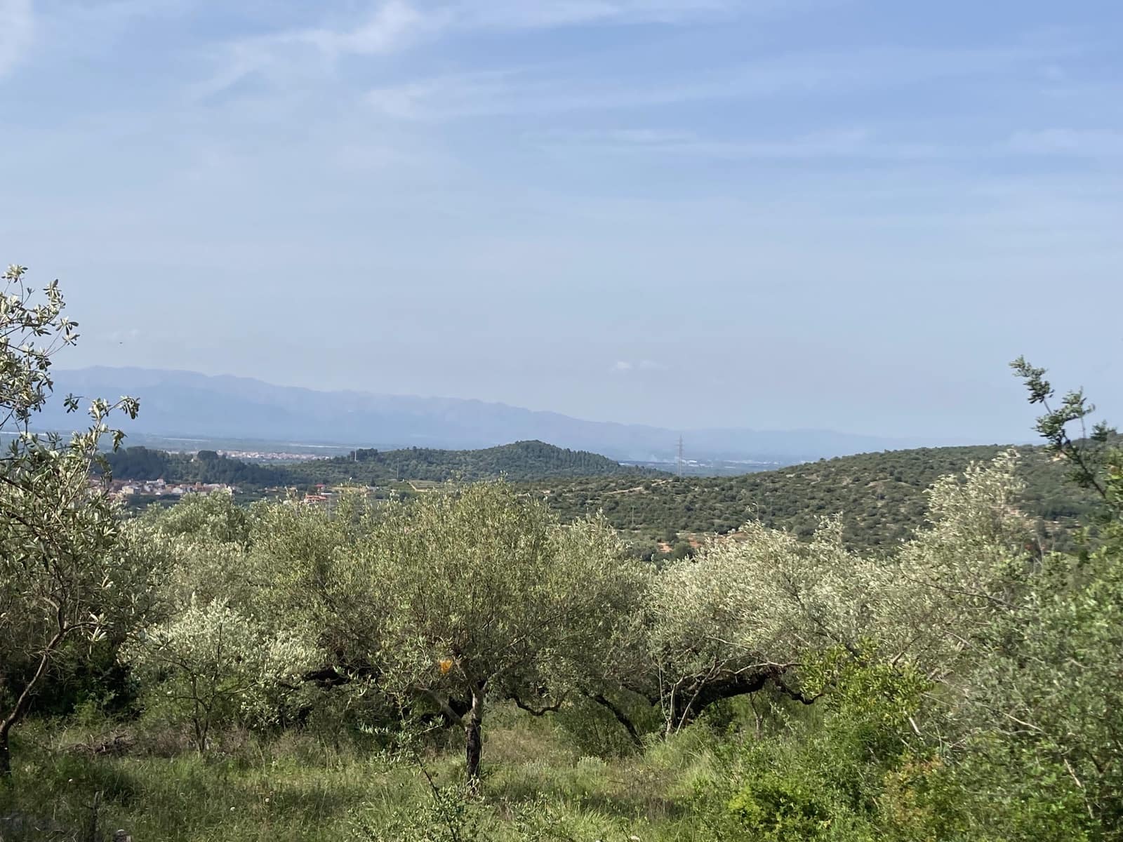 2 slaapkamer Finca/Landhuis te koop in El Perello - € 74.000 (Ref: 9870351)