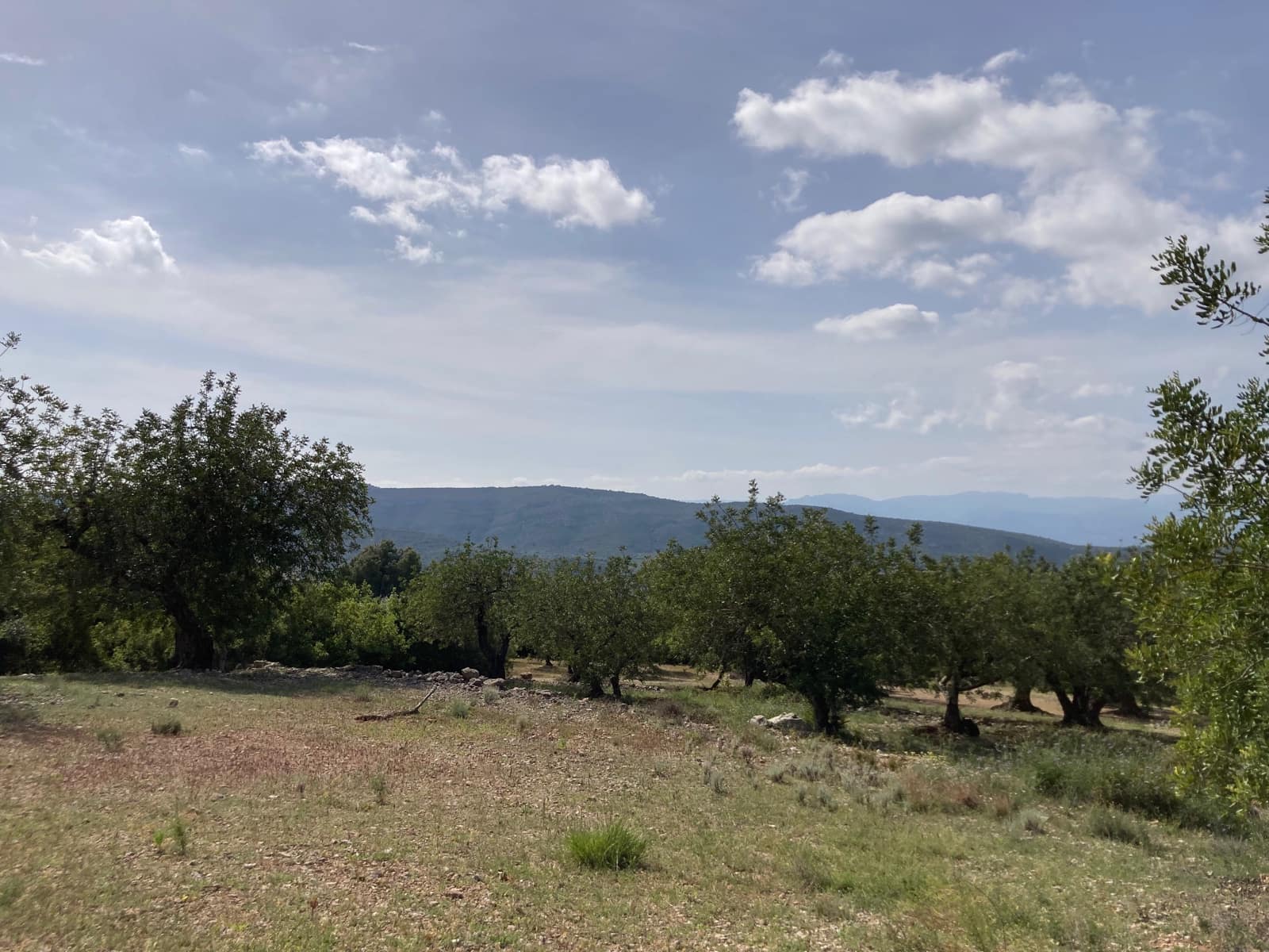 2 slaapkamer Finca/Landhuis te koop in El Perello - € 74.000 (Ref: 9870351)