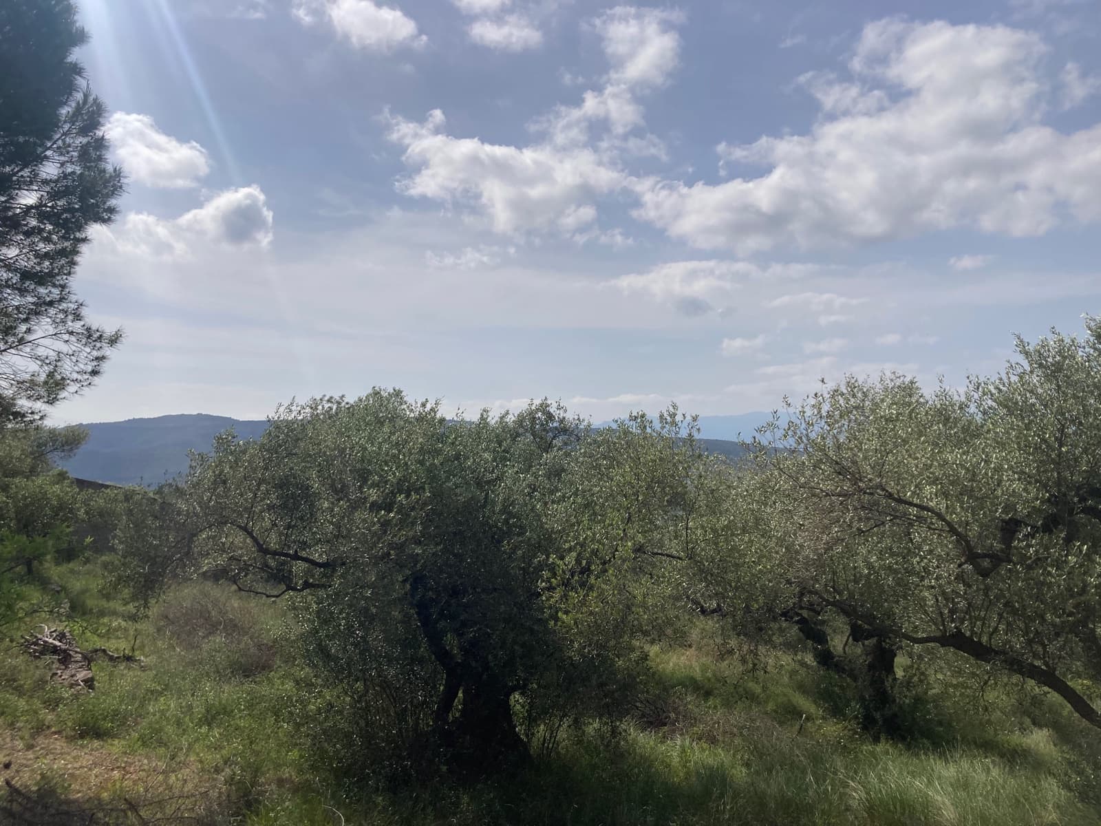 2 slaapkamer Finca/Landhuis te koop in El Perello - € 74.000 (Ref: 9870351)