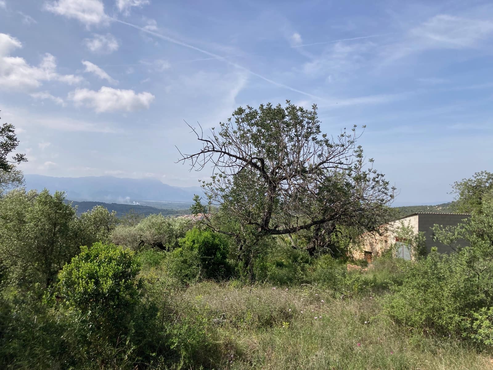 2 slaapkamer Finca/Landhuis te koop in El Perello - € 74.000 (Ref: 9870351)