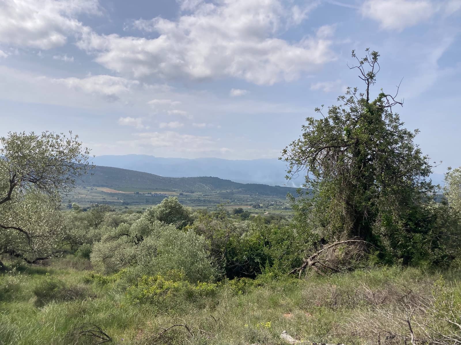 2 slaapkamer Finca/Landhuis te koop in El Perello - € 74.000 (Ref: 9870351)