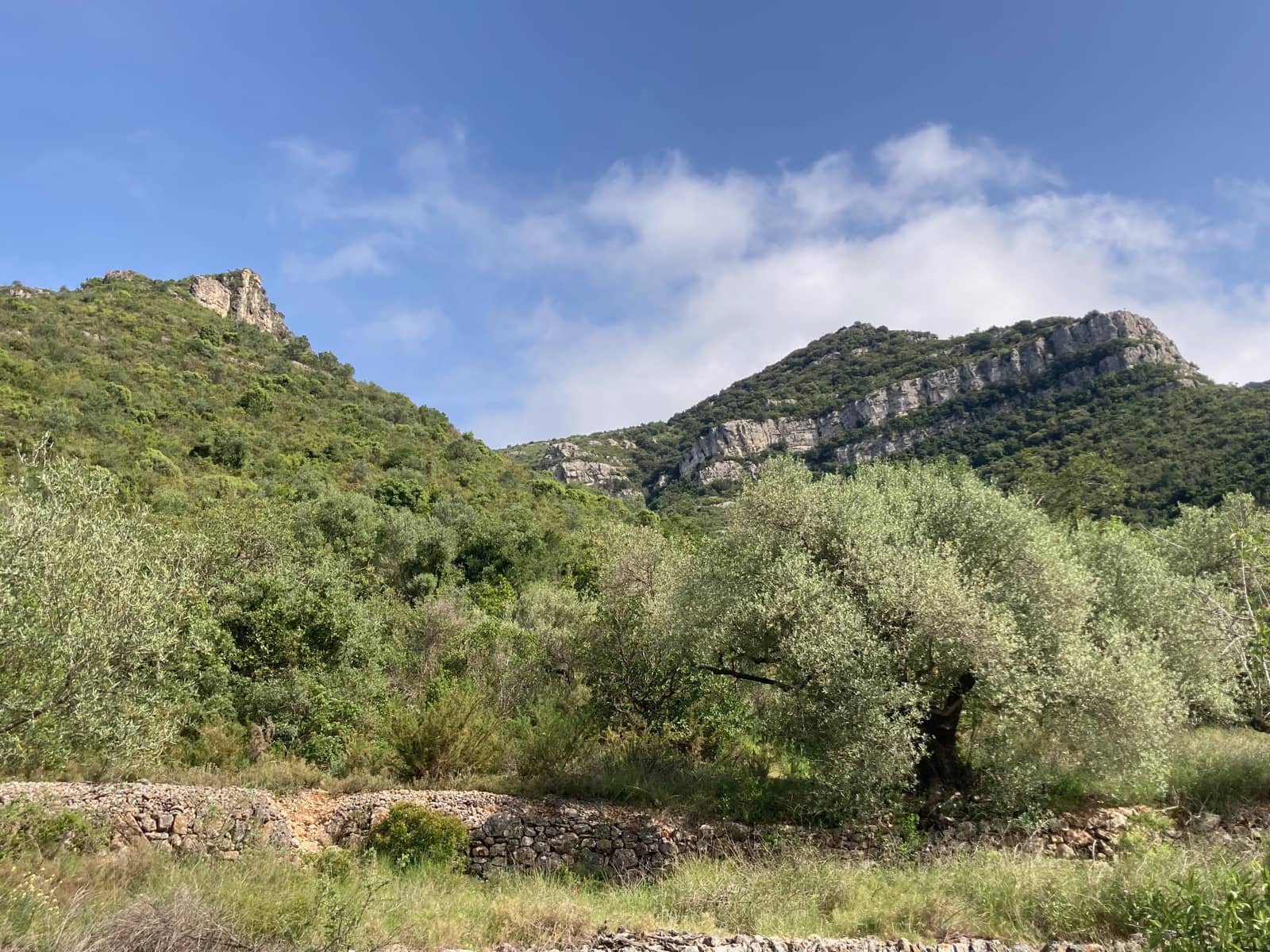 2 slaapkamer Finca/Landhuis te koop in El Perello - € 74.000 (Ref: 9870351)