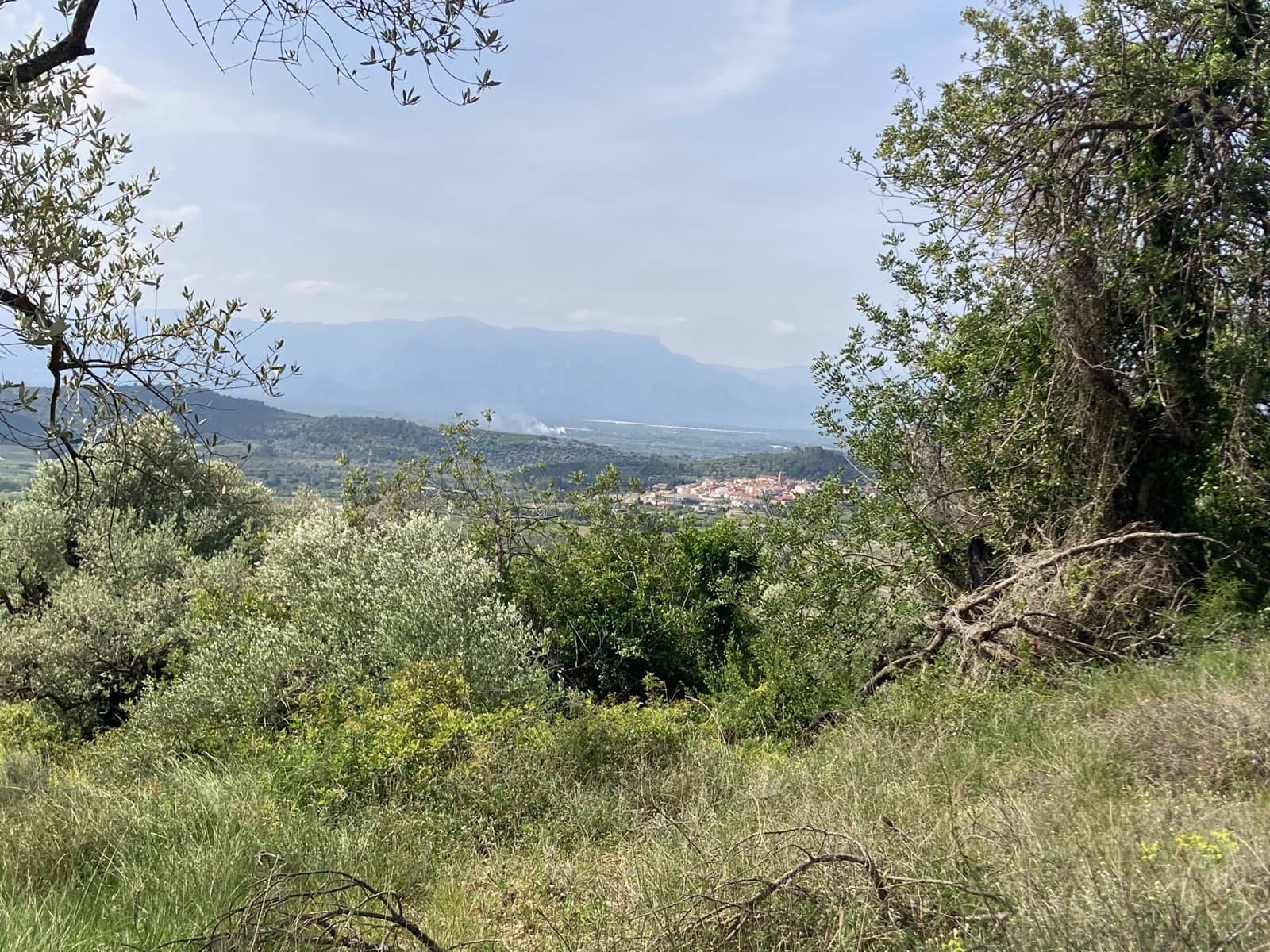 2 slaapkamer Finca/Landhuis te koop in El Perello - € 74.000 (Ref: 9870351)