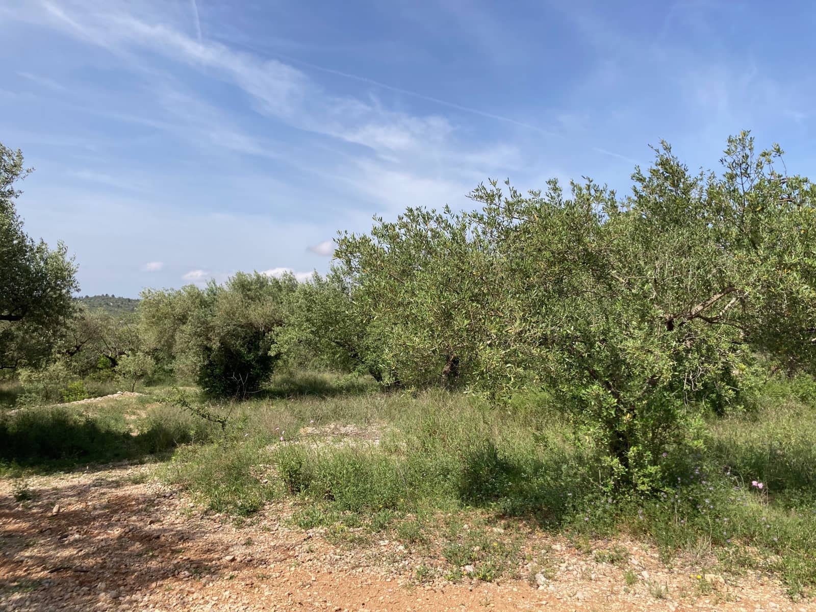 2 slaapkamer Finca/Landhuis te koop in El Perello - € 74.000 (Ref: 9870351)