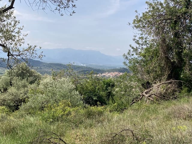 2 slaapkamer Finca/Landhuis te koop in El Perelló - € 74.000 (Ref: 9870351)