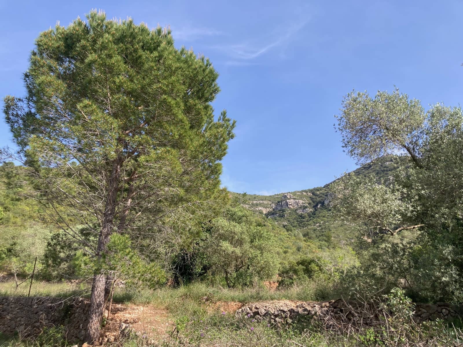 2 slaapkamer Finca/Landhuis te koop in El Perello - € 74.000 (Ref: 9870351)