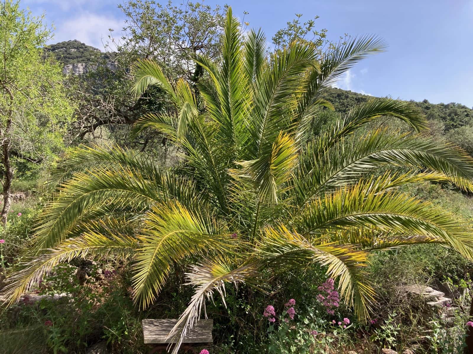 2 slaapkamer Finca/Landhuis te koop in El Perello - € 74.000 (Ref: 9870351)