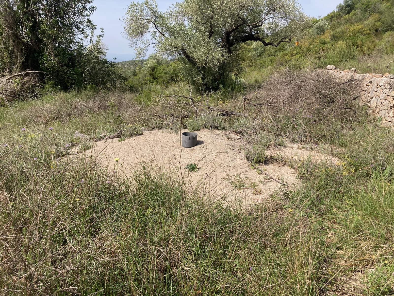 2 slaapkamer Finca/Landhuis te koop in El Perello - € 74.000 (Ref: 9870351)