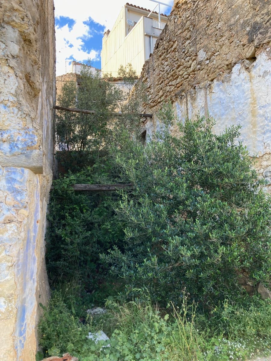1 sypialnia Dom na sprzedaż w Sant Carles de la Rapita - 11 000 € (Ref: 9870361)