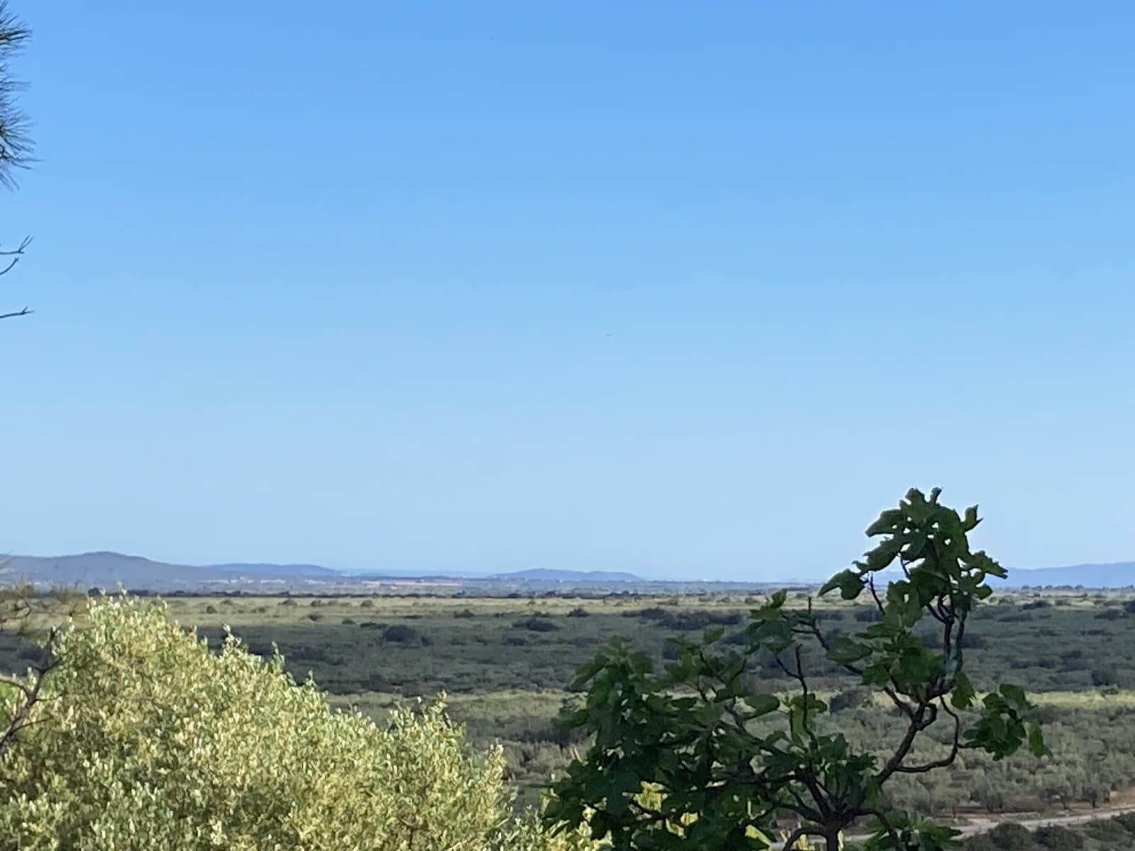 1 sypialnia Dom na sprzedaż w Sant Carles de la Rapita - 11 000 € (Ref: 9870361)