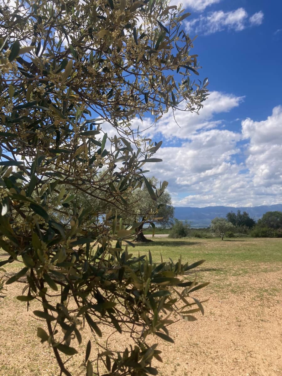 1 Zimmer Finca/Landgut zu verkaufen in El Perello - 33.000 € (Ref: 9870367)