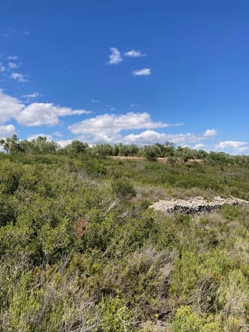 Finca/Casa Rural de 1 habitación en El Perelló en venta - 33.000 € (Ref: 9870367)